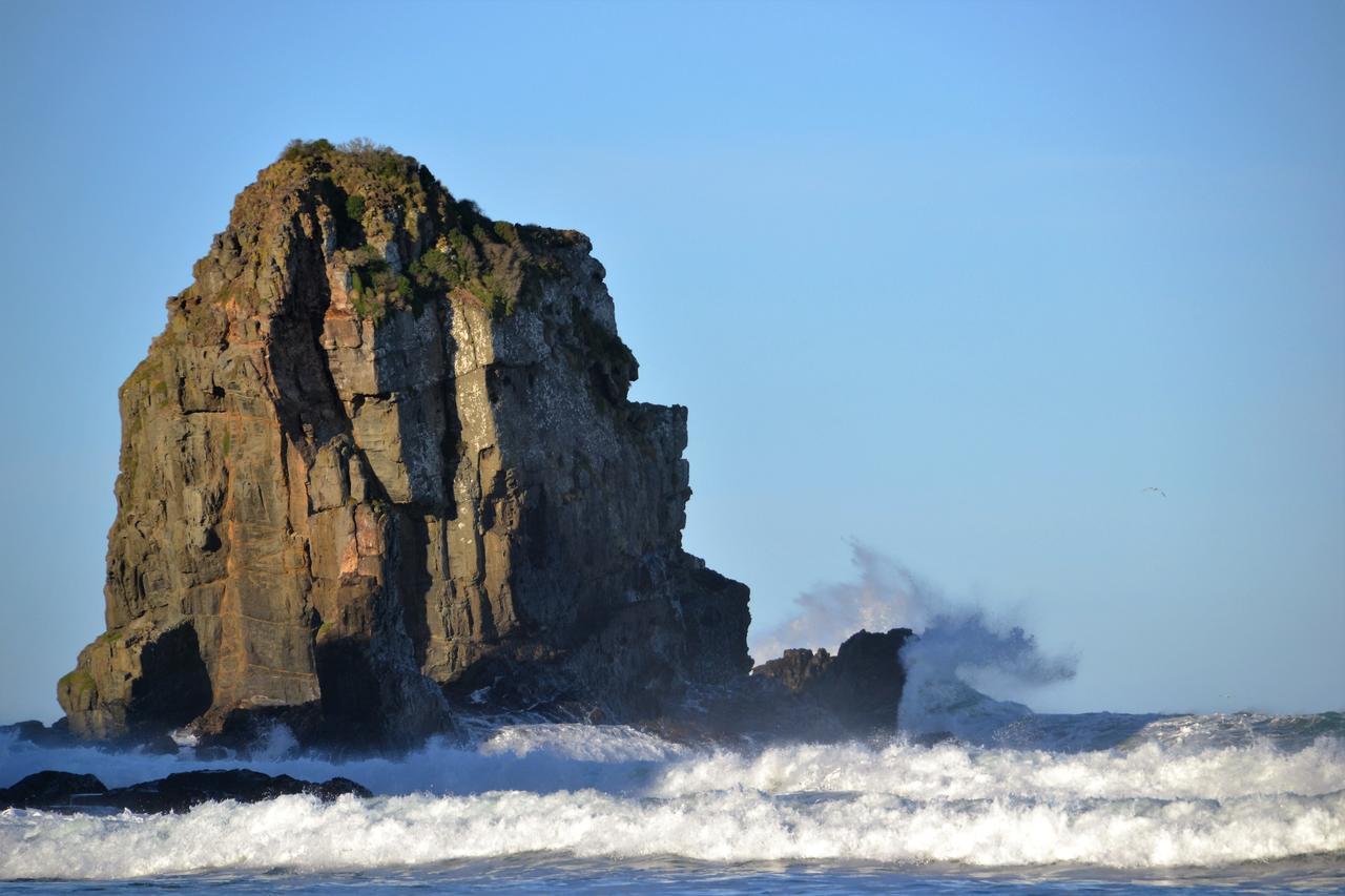 Catlins Gateway Motels Owaka Bagian luar foto
