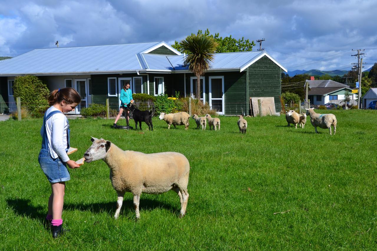 Catlins Gateway Motels Owaka Bagian luar foto